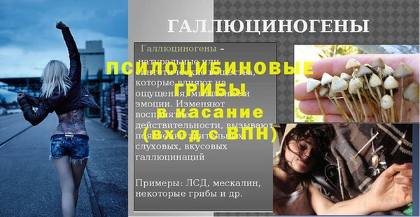 МДПВ Бронницы