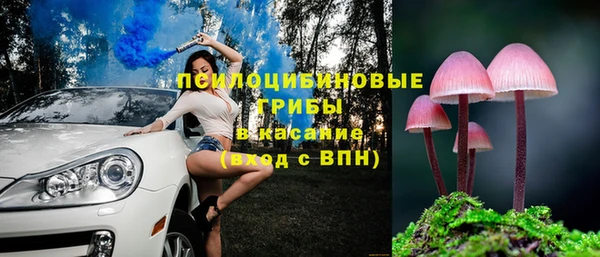 Альфа ПВП Богородск