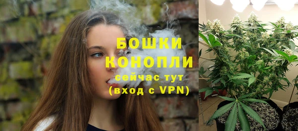 МДПВ Бронницы