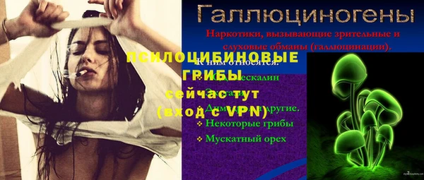 амф Бугульма